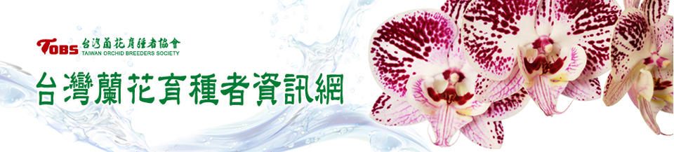台灣蘭花育種者資訊網
